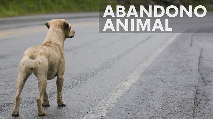 Noticias Andalucía - Entrevista: Delitos contra el medio ambiente