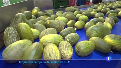 Primeros melones de la temporada en Castilla-La Mancha | Ver