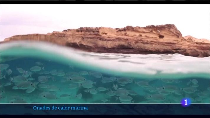 Informatiu Balear - Onades de calor marina