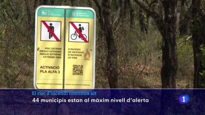 L'Informatiu - El risc d'incendi continua alt: 44 municipis estan al màxim nivell d'alerta