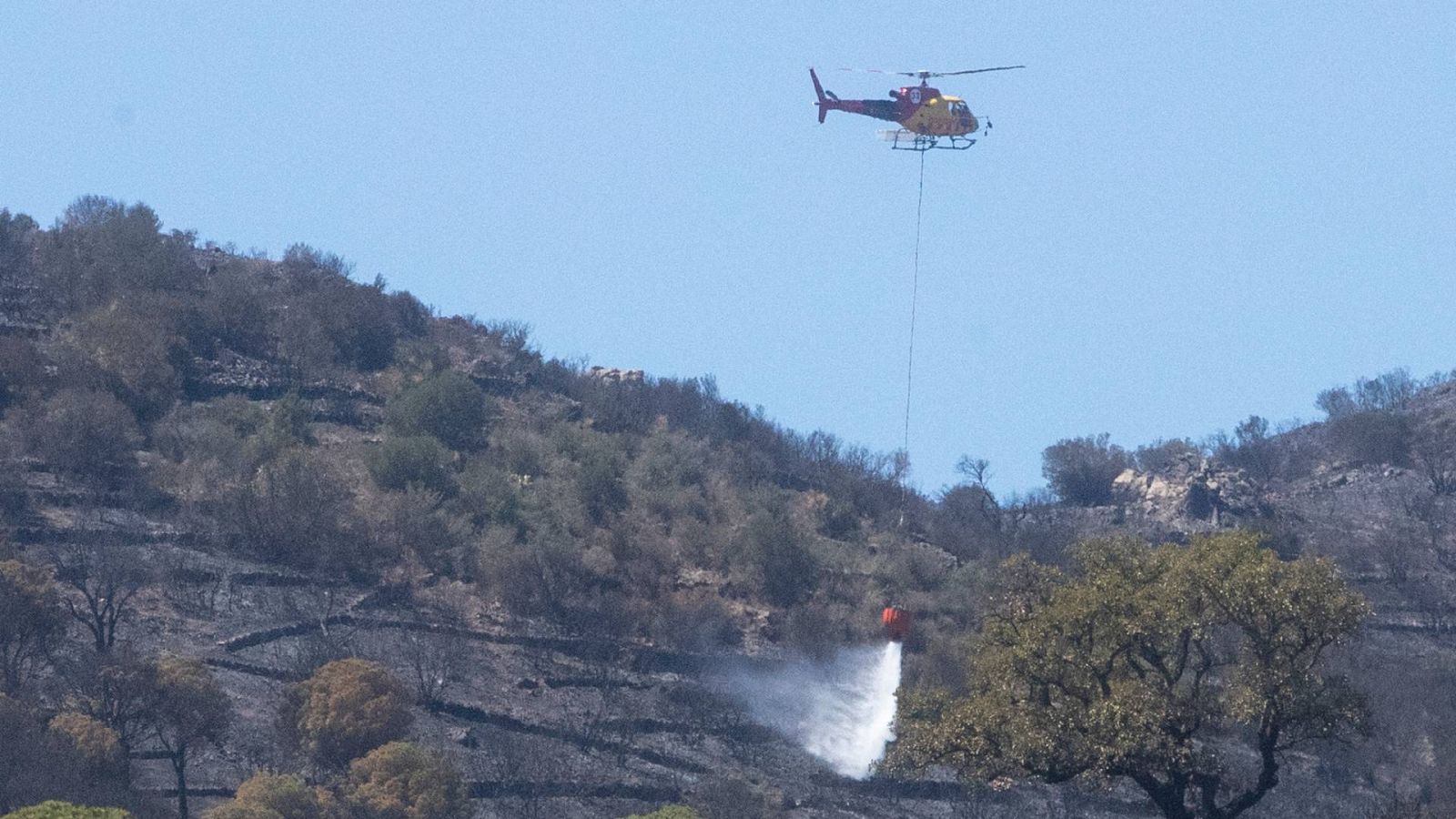 Los Bomberos logran contener el fuego del incendio en Portbou (Girona) que ha quemado casi 600 hectáreas | Ver