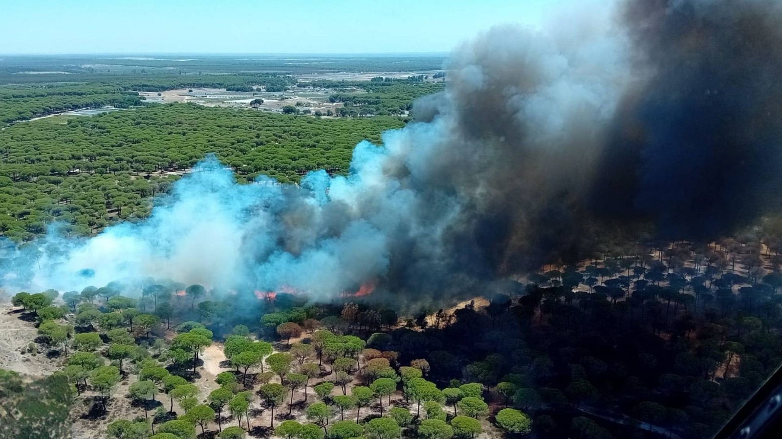 Un incendio en Bonares (Huelva) obliga a desalojar a unas 70 personas de sus viviendas | Ver