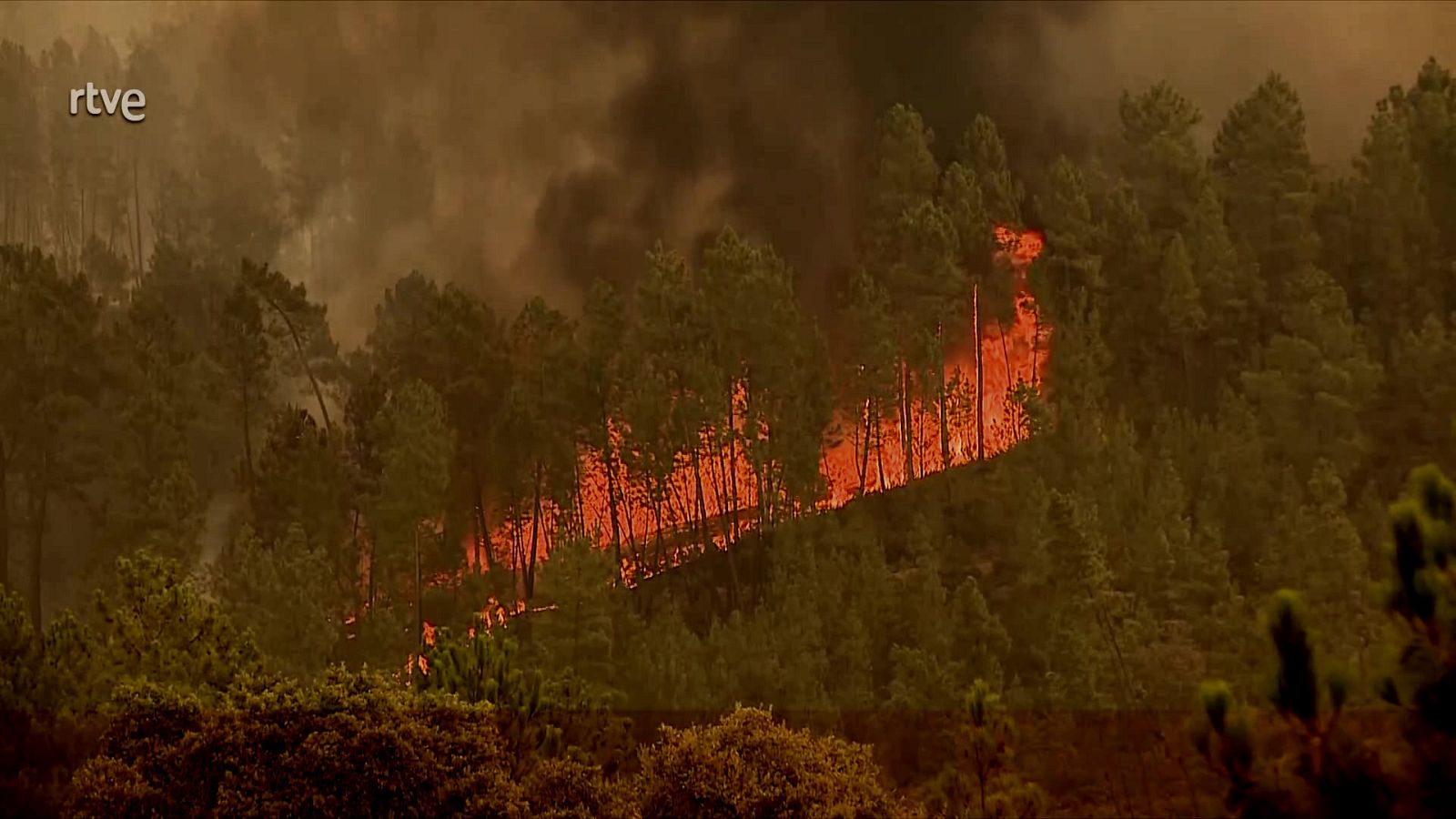Telediario Internacional - 05/08/23 - ver ahora