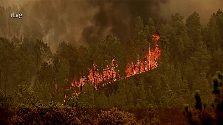Telediario Internacional - Telediario Internacional - 05/08/23