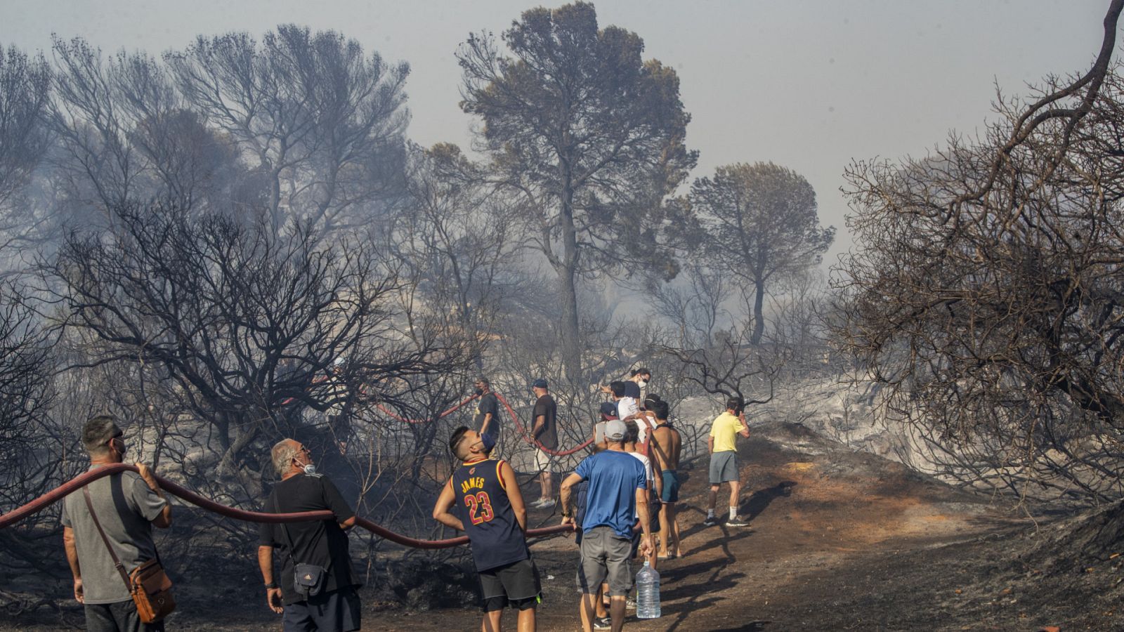 Telediario - 21 horas - 06/08/23 - ver ahora
