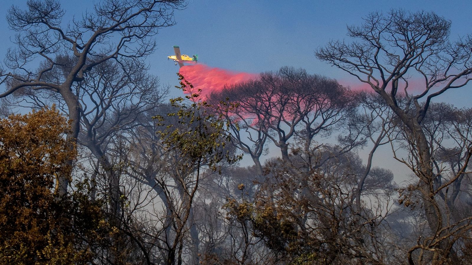 Telediario Matinal en Cuatro Minutos - 07/08/2023