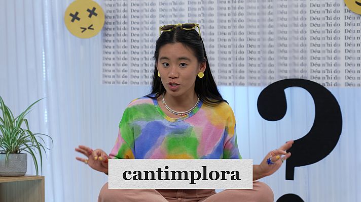 Déu n'hi do - "Trencar el gel", "tocat del bolet" i el "perquè"