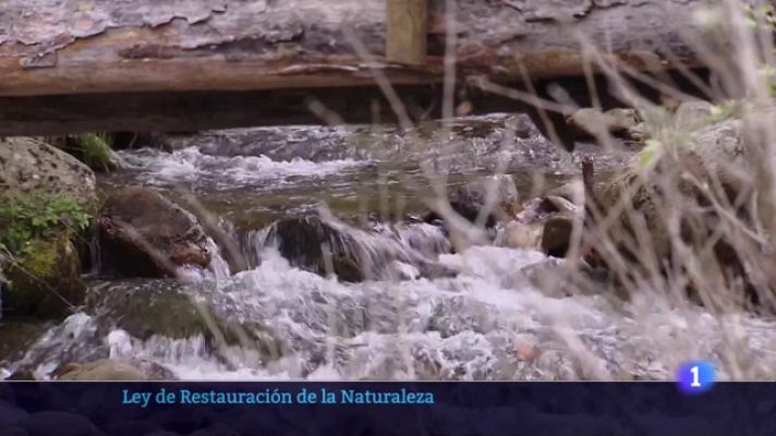 Informativo Telerioja - Informativo Telerioja  - 07/08/23