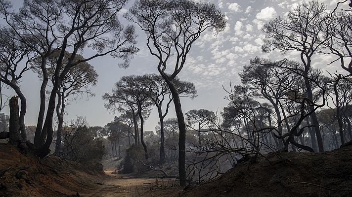 Telediario en lengua de signos - Telediario - 15 horas - 07/08/23 - Lengua de signos