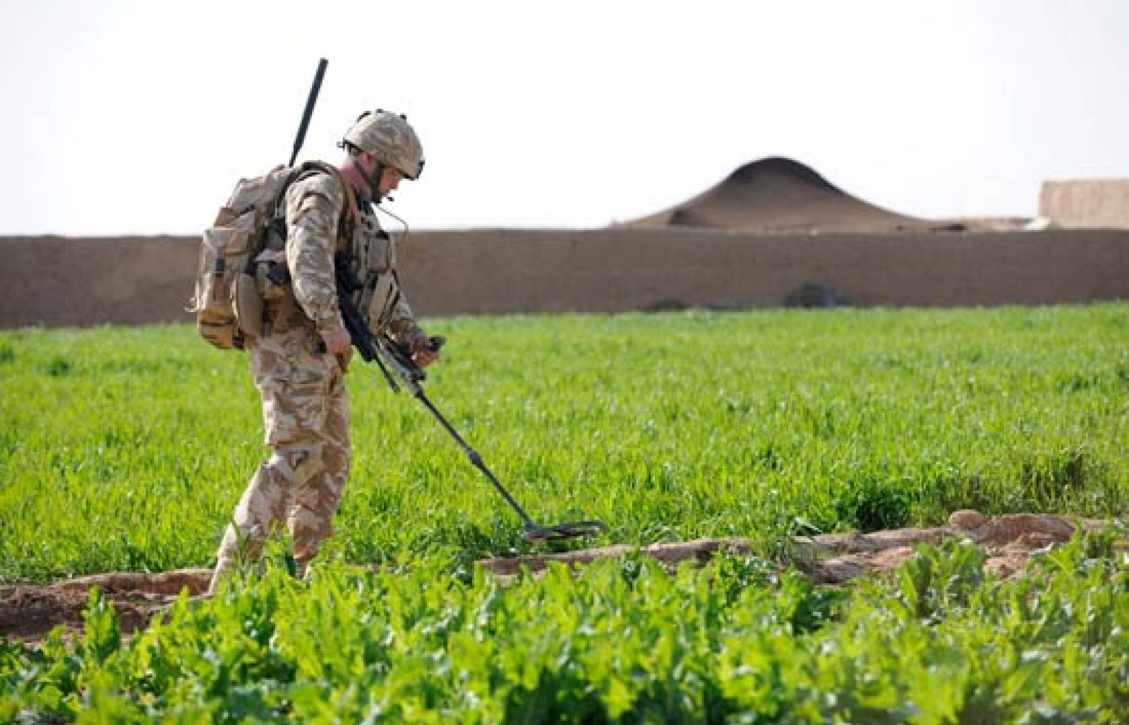 Cinco civiles mueren en Afganistán en un nuevo ataque por error de la OTAN | Ver