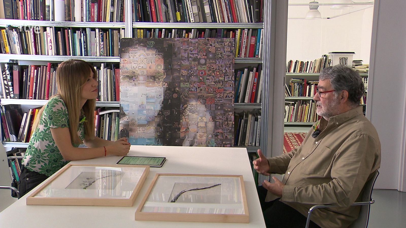 Va de Verd - Fotografia i plantes - Veure ara