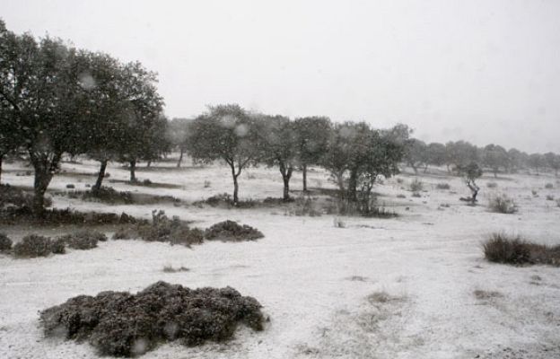 El tiempo - El Tiempo - 15/02/10