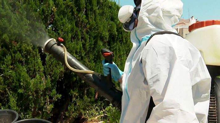 Comando Actualidad - Plagas