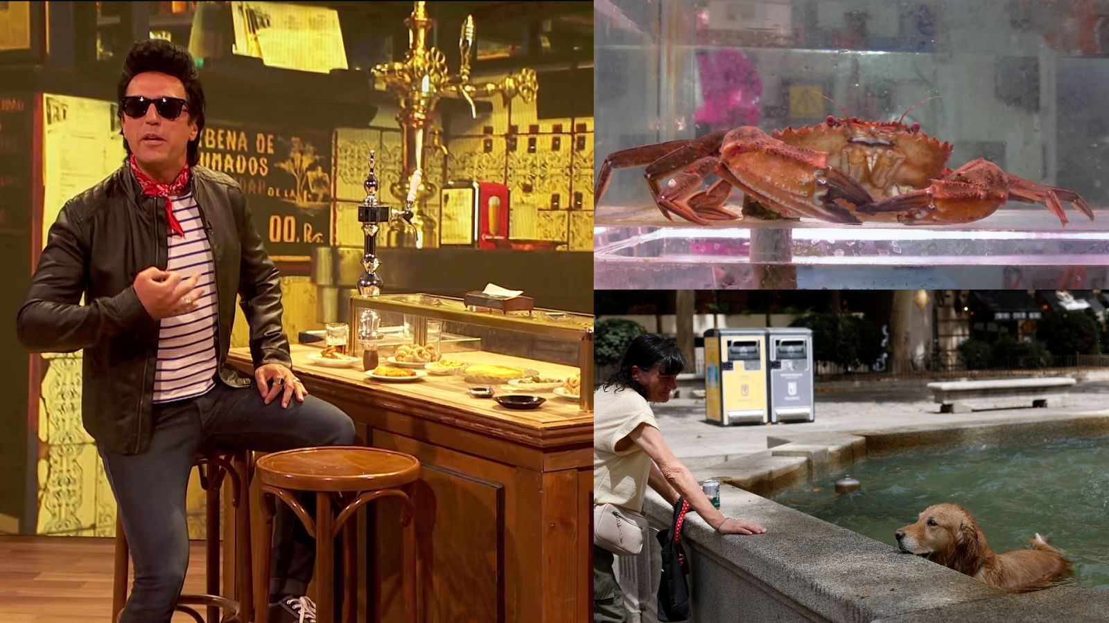 Aquí la Tierra - 09/08/23 - ver ahora