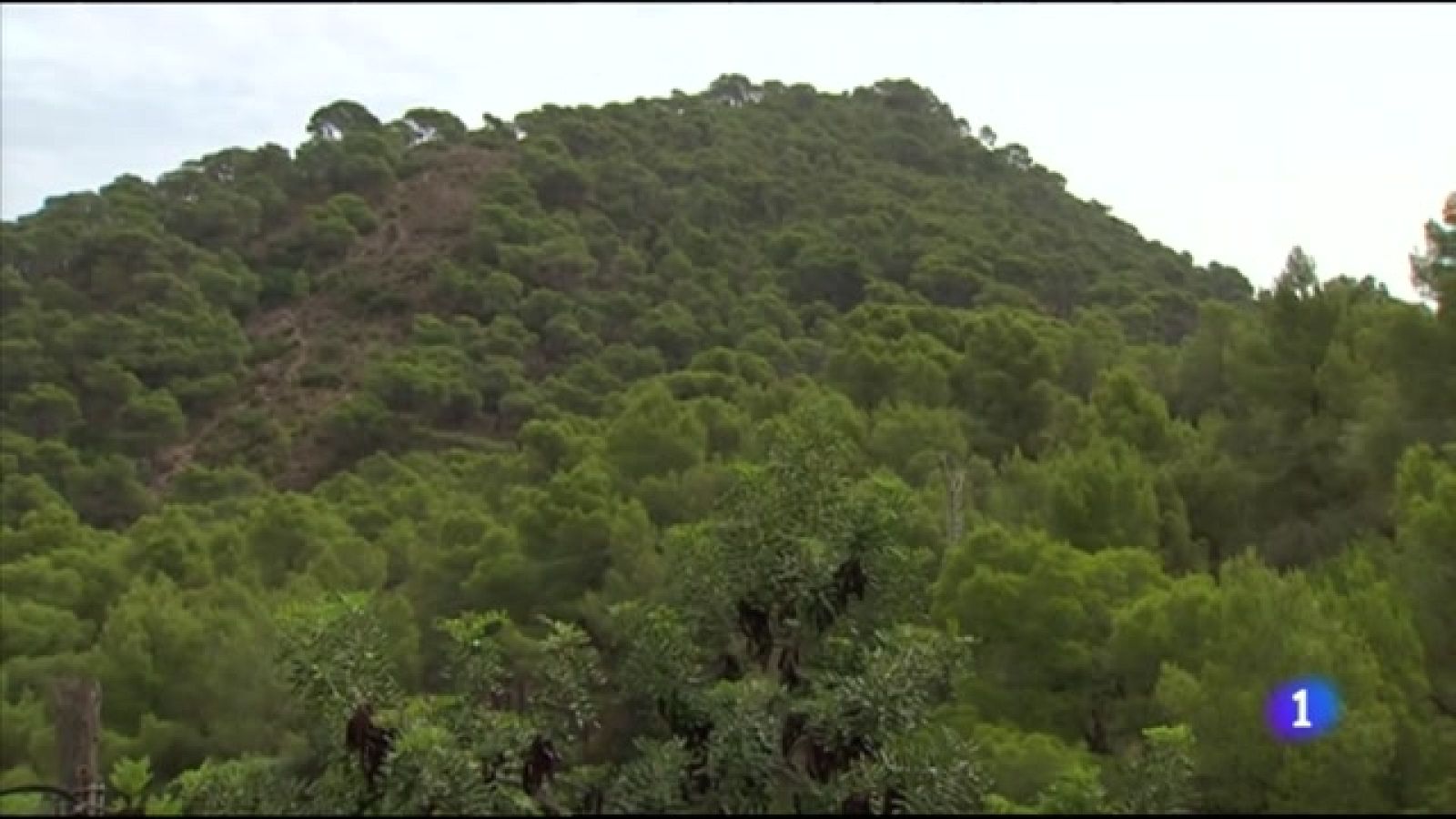 L'Informatiu Comunitat Valenciana 1 - 10/08/23 vore ara