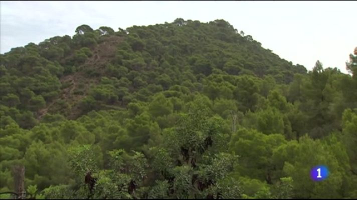 L'informatiu - Comunitat Valenciana - L'Informatiu Comunitat Valenciana 1 - 10/08/23