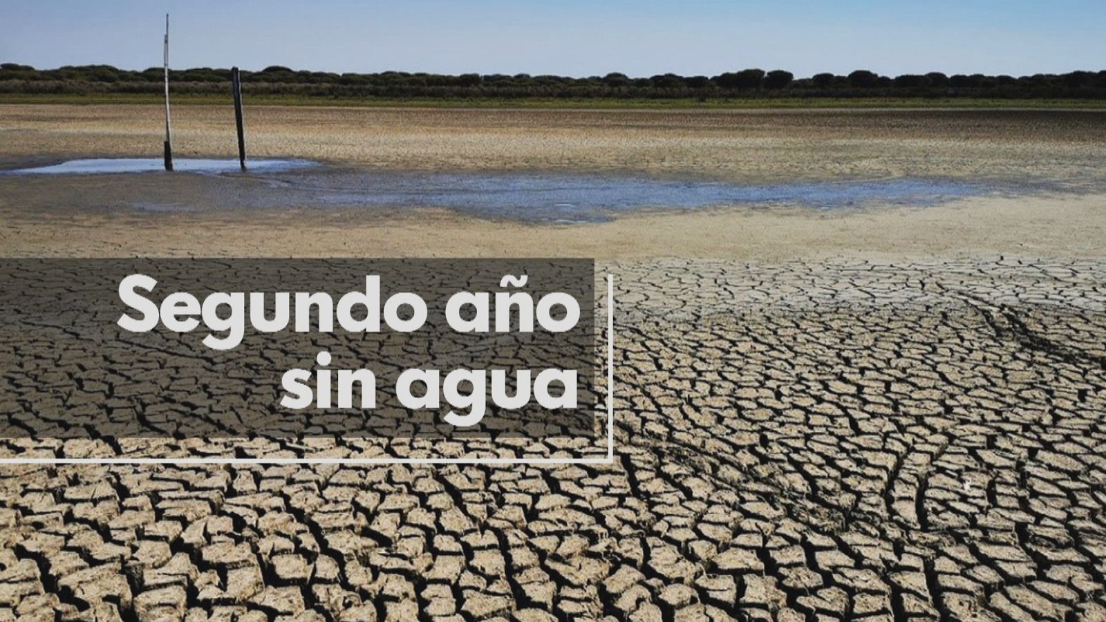 Se seca la última laguna permanente - Ver ahora