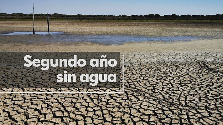 Noticias Andalucía - Se seca la última laguna permanente