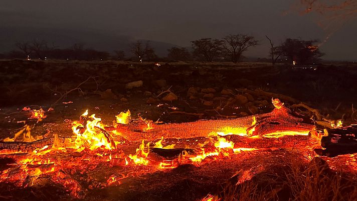 Telediario 1 - Los incendios que arrasan Maui dejan ya 36 muertos