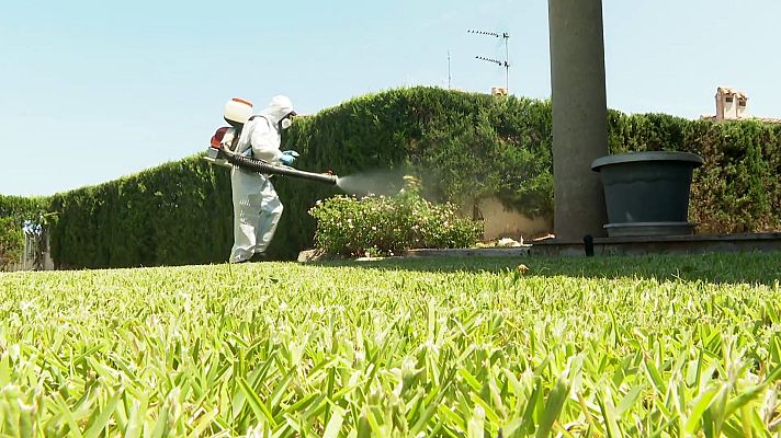  - 'Comando actualidad'. 'Plagas'. Sumario