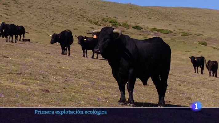 Informativo Telerioja - Informativo Telerioja  - 11/08/23