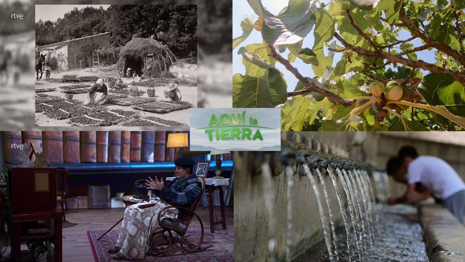 Aquí la Tierra - 11/08/23 - ver ahora