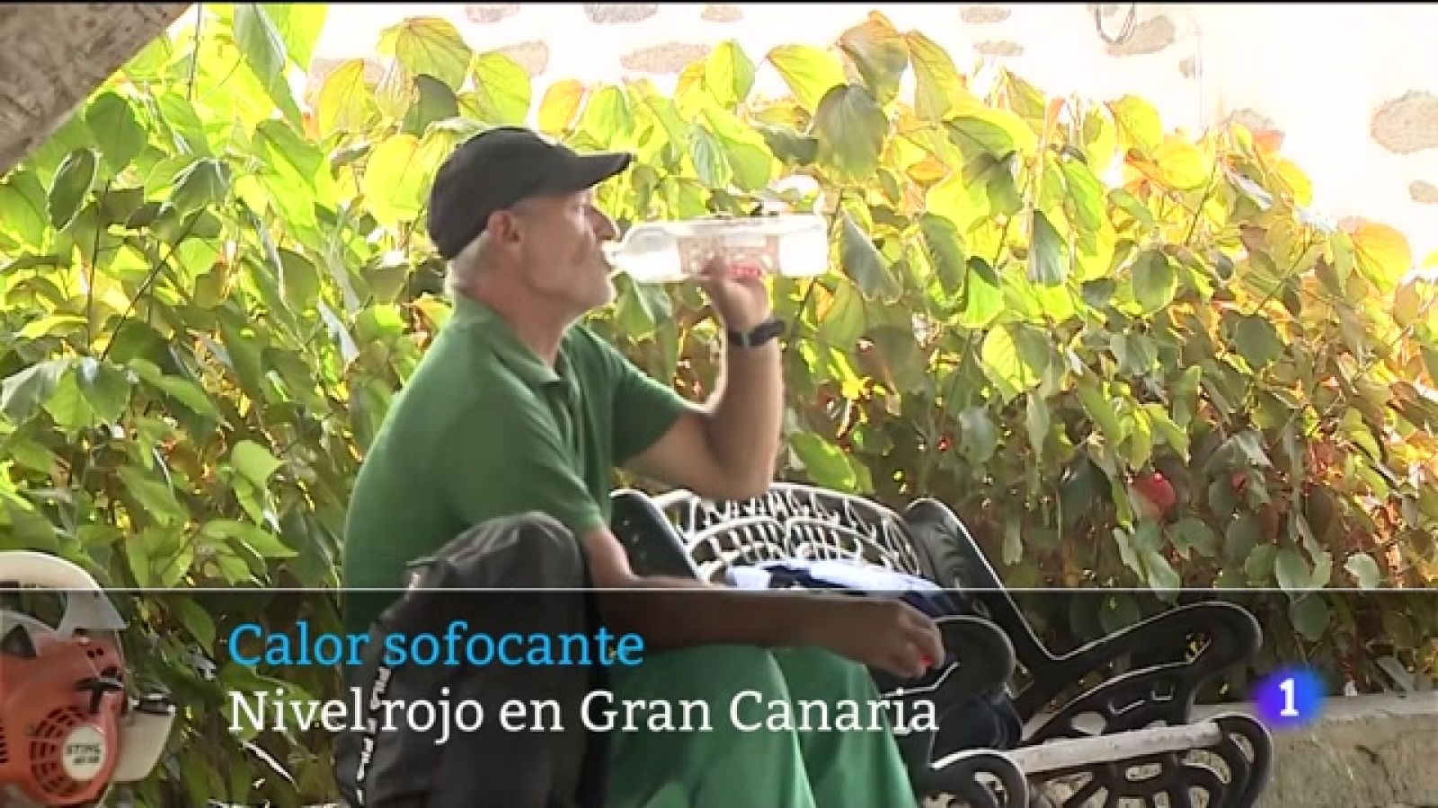 Telecanarias - 13/08/2023