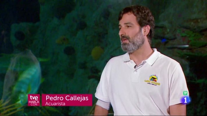 Telecanarias - TVE Habla con Pedro Calleja - 13/08/2023