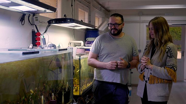 Planeta R - Repoblar masies, biomaterials i conservació d'espècies