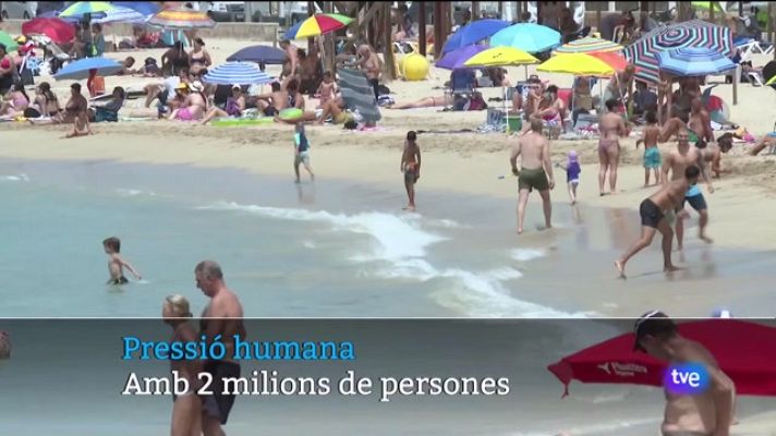 Informatiu Balear - Informatiu Balear 2 - 14/08/23