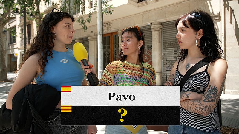 directo_cms_no_emitidos_rtve_arribaizquierda_398832_DEUNHIDO_T1_43_MASTEREMISION_LQ_16_08_2023_114420