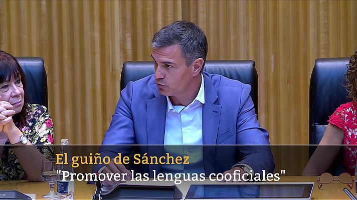 Informativo 24h - Informativo 24 horas - 14h - 16/08/23