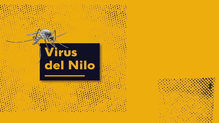 Noticias Andalucía - Virus del Nilo