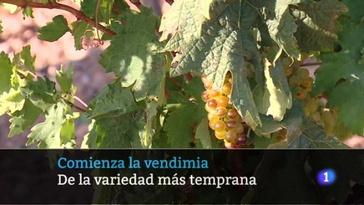 Informativo Telerioja - Informativo Telerioja 2 - 16/08/23