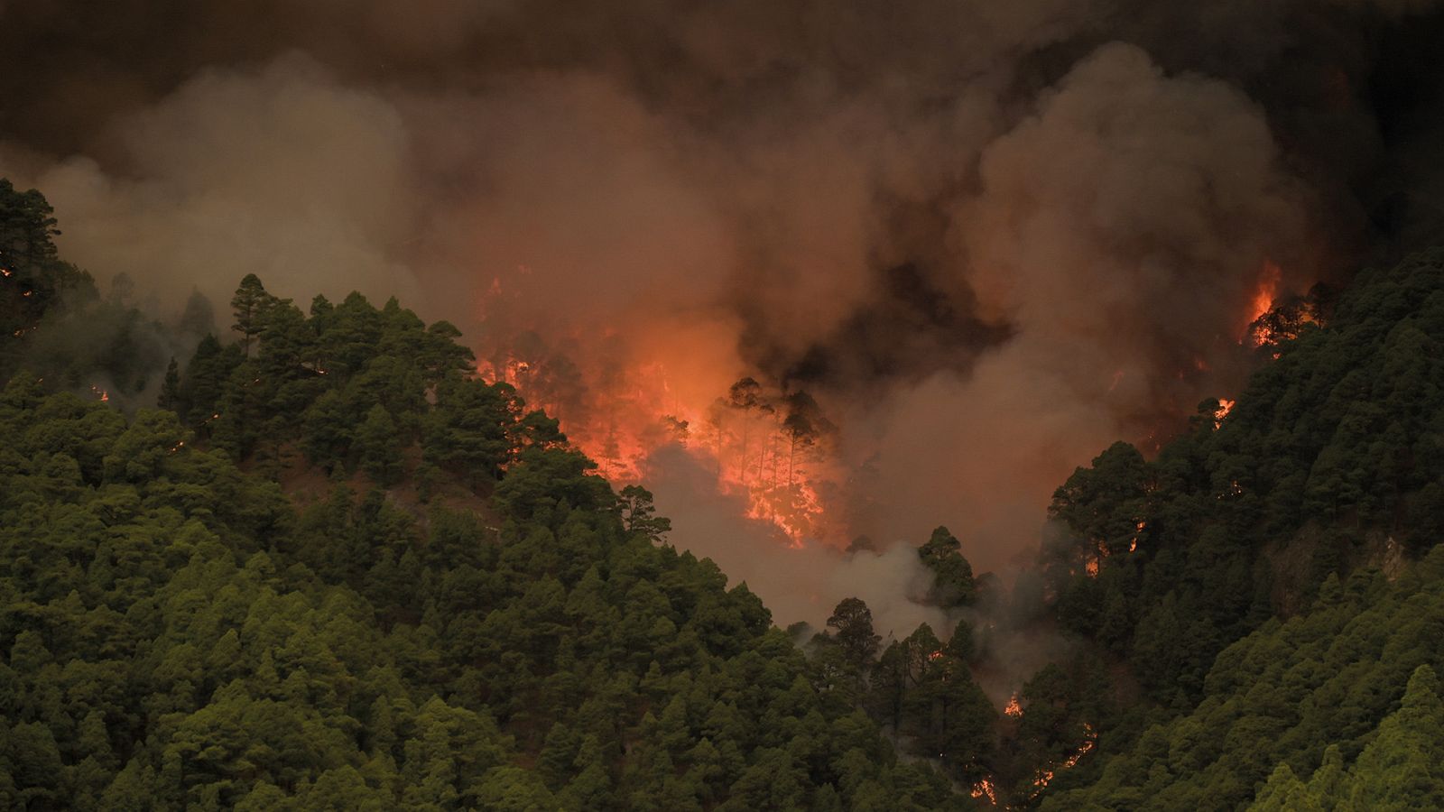 Telediario 2 en cuatro minutos - 16/08/23 - Ver ahora