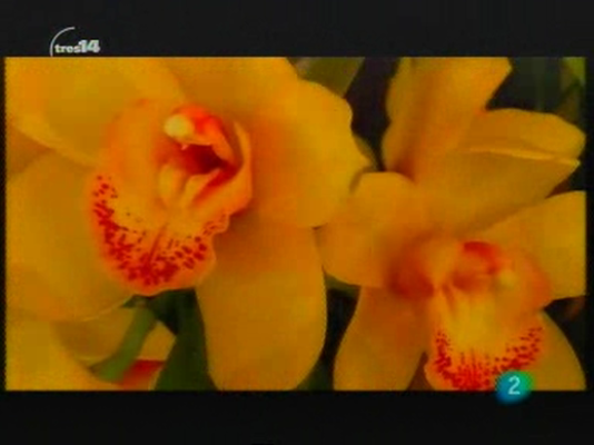 tres14 - Últimas noticias