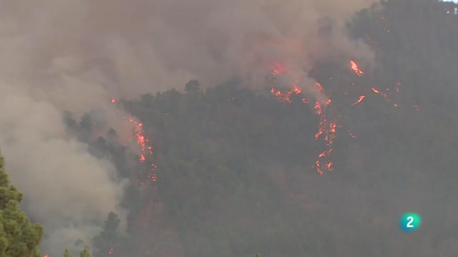Telecanarias 2 - 16/08/2023 | Ver