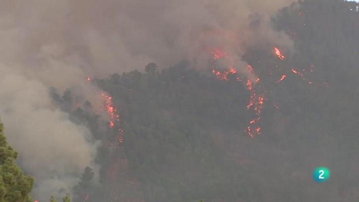 Telecanarias - Telecanarias 2 - 16/08/2023