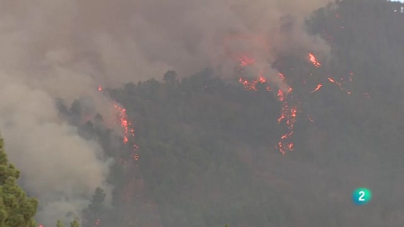 Telecanarias 2 - 16/08/2023 | Ver