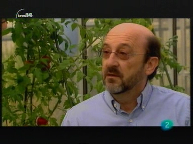 Pere Puigdomènech (plantas)