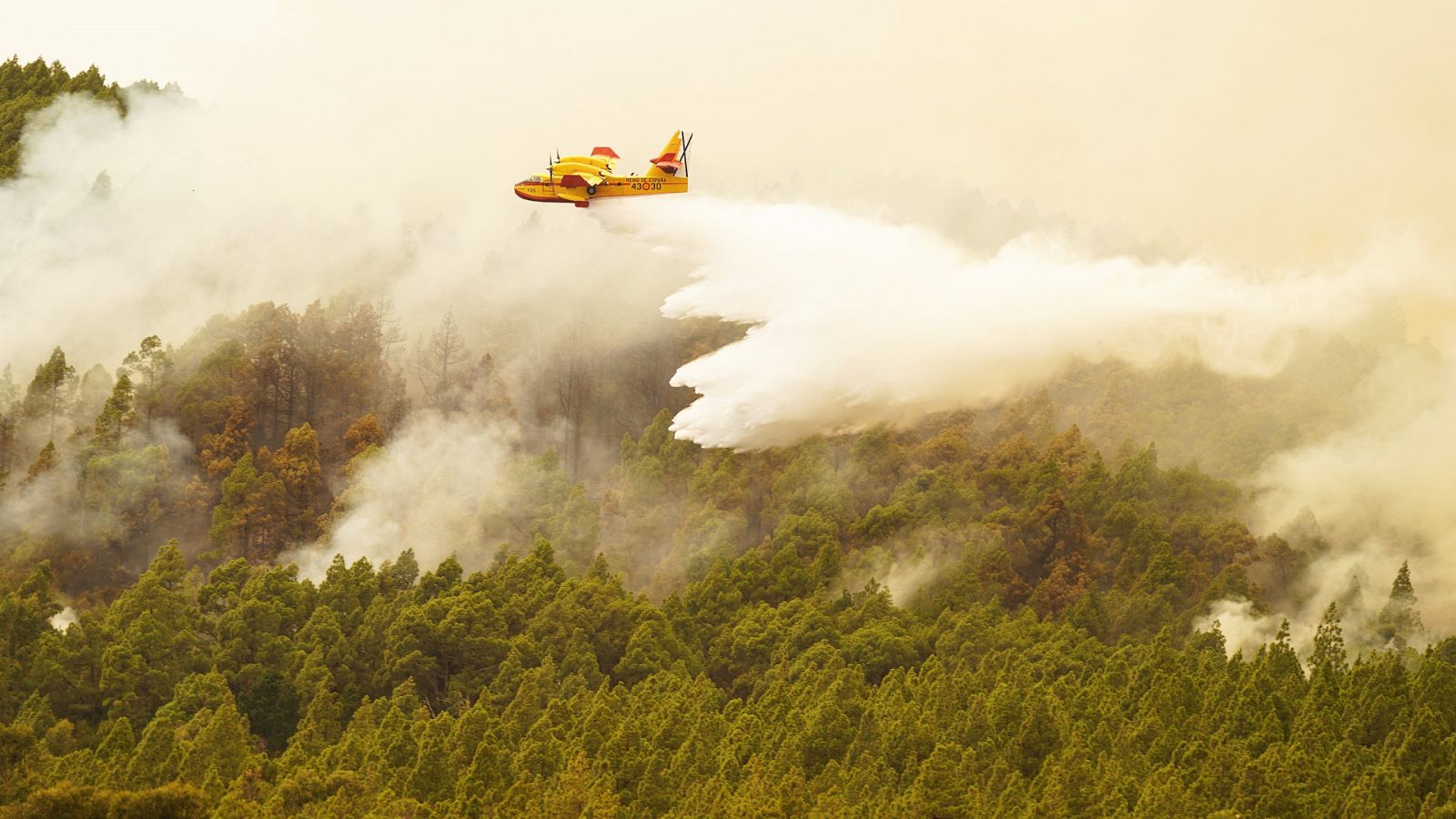 Telediario - 15 horas - 18/08/23 - Lengua de signos - ver ahora