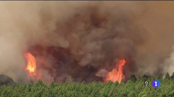 Telecanarias - Telecanarias - 18/08/2023