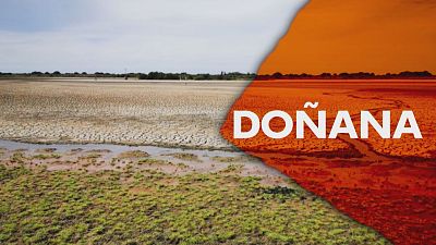 Empeora el acu�fero de Do�ana - Ver ahora