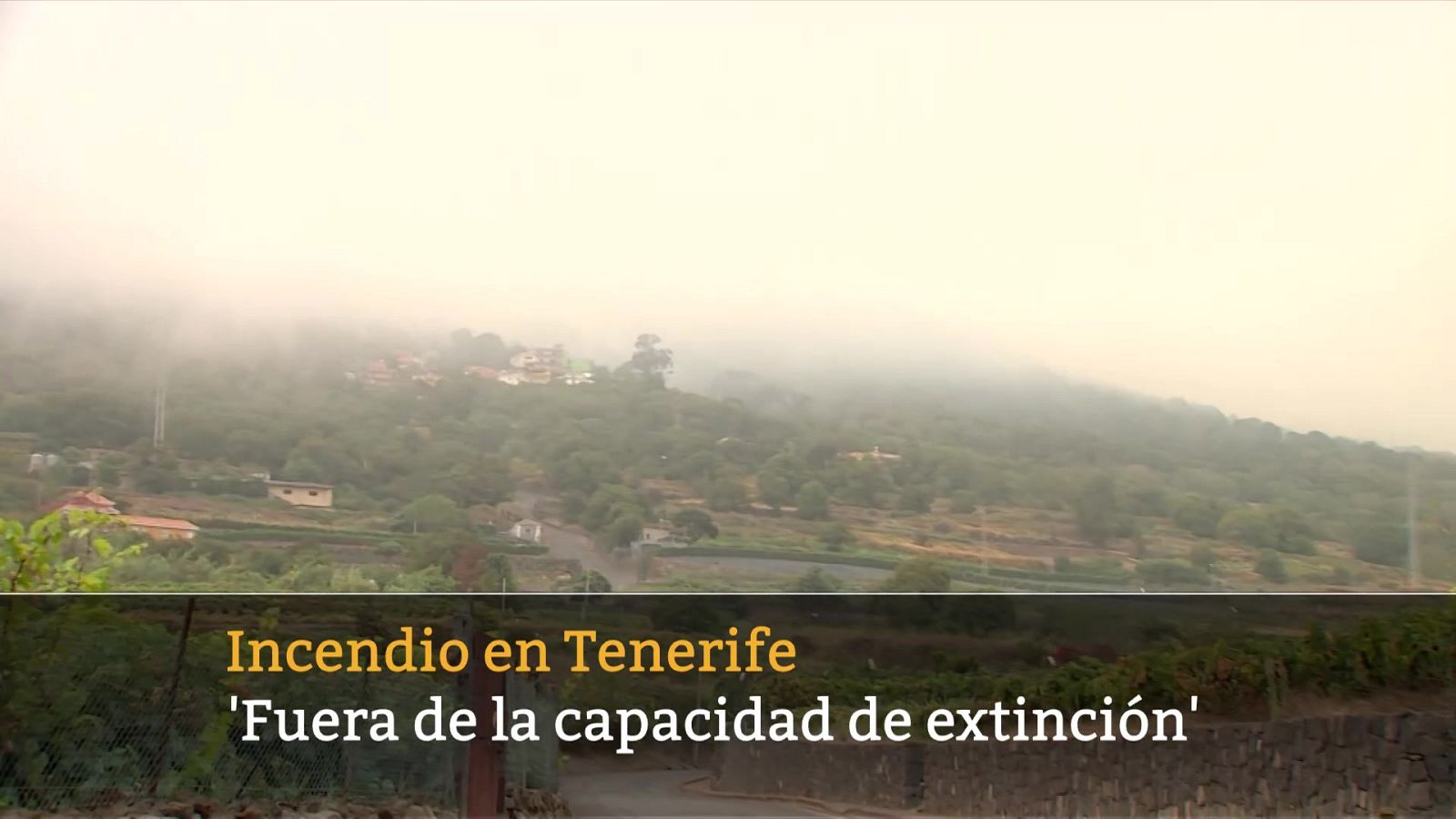 Informativo 24 horas - 14h - 19/06/23 - ver ahora