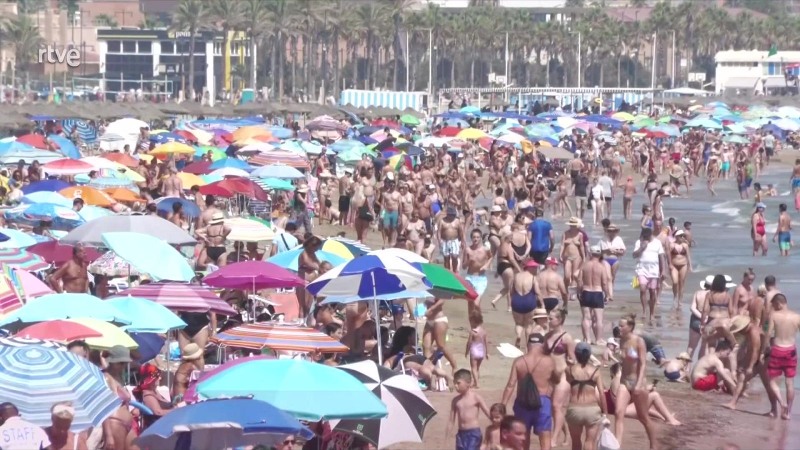 Informativo 24 horas - 20h - 20/08/23 - ver ahora