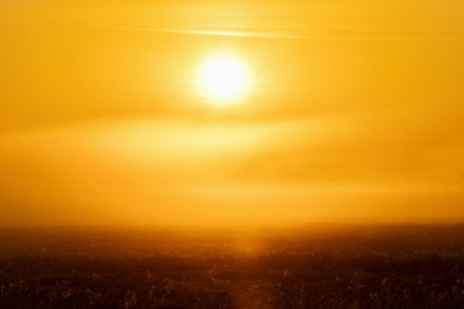 Entrevista: El tiempo que viene - Ver ahora