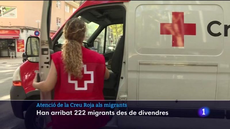 Informatiu Balear 1 - 22/08/23 - Veure ara