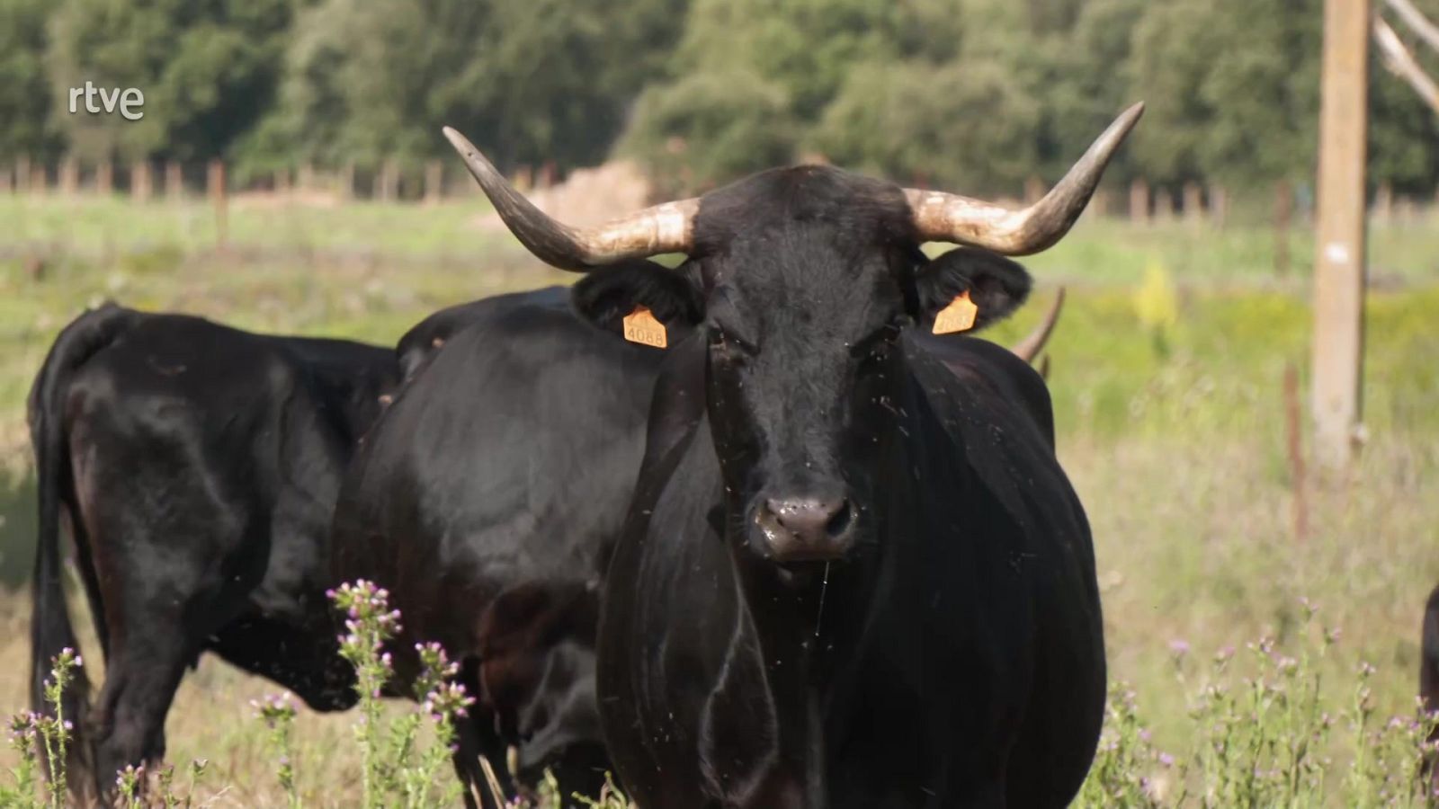 Aquí la Tierra - 22/08/23 - ver ahora