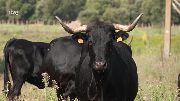Aquí la Tierra - Aquí la Tierra - 22/08/23