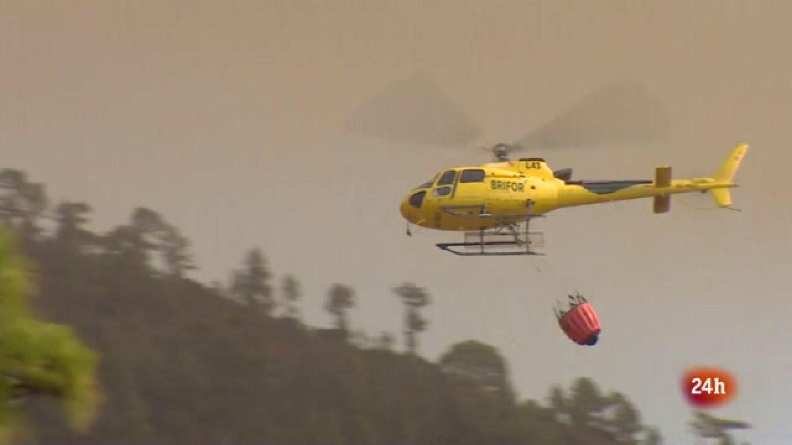 Telecanarias 2 - 22/08/2023 | Ver